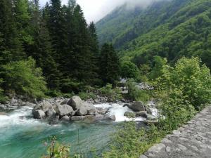 a river in the middle of a mountain with trees at LA MAISON DE BARLEST - LOURDES in Barlest
