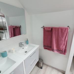 a bathroom with a white sink and a mirror at Chambres la Fabière Vauciennes -Epernay in Vauciennes