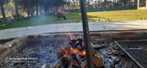eine Feuerstelle mit einem Kamel im Hintergrund in der Unterkunft Posada de campo LA AMADA in San Pedro