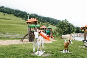 Zvieratá v hoteli alebo blízkom okolí