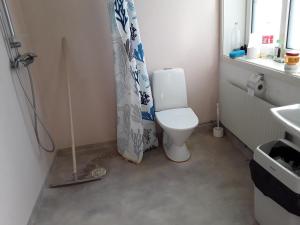 un bagno con un water e una tenda da doccia di Knihsgården a Rättvik