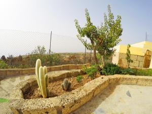 Zahrada ubytování Finca Noya con piscina privada