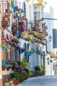 een straat met veel potten bloemen en balkons bij La Rosa de Barbate in Barbate