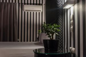 Fotografie z fotogalerie ubytování Ruby Rooms Kifisia v Aténách