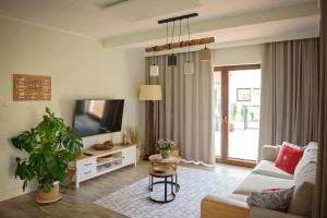 Μια τηλεόραση ή/και κέντρο ψυχαγωγίας στο Apartamenty Sunsets Mazury