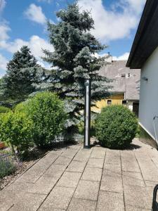 Vonkajšia záhrada v ubytovaní U Waltera