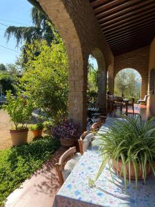 Galería fotográfica de La collina degli olivi en Carmignano