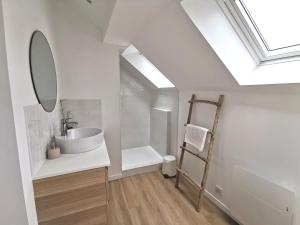 a bathroom with a sink and a mirror at Le repaire du Cap-hornier in Rezé