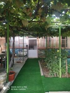 un jardín con césped verde y una puerta en un edificio en Стаи за гости Тамара, en Ezerets