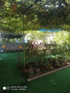 Jardín al aire libre en Стаи за гости Тамара