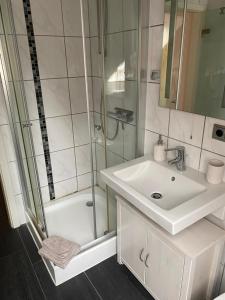 La salle de bains blanche est pourvue d'un lavabo et d'une douche. dans l'établissement Elegantes Apartment, à Wendelstein