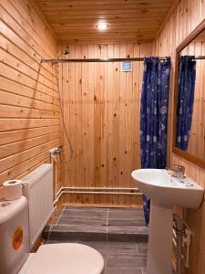 a bathroom with a toilet, sink, and tub at Lesnaya Skazka Hotel in Pereslavl-Zalesskiy