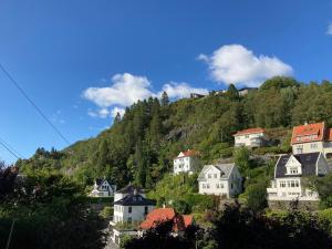 a village on a hill with houses and trees at Kjellerleilighet - nært Haukeland sykehus. in Bergen