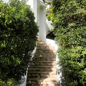 Um jardim em L’appartement - Jardin Secret