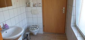 Koupelna v ubytování Ferienhaus-Poweleit + 1 fotografie