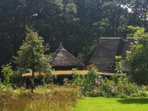 a house with two roofs and a garden with flowers at Bed & Breakfast Markelo in Markelo +12 photos