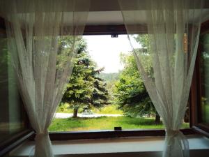 Zahrada ubytování Mansion Tara