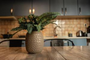 a plant in a vase on a table in a kitchen at Aigli's Urban Lodge in Volos