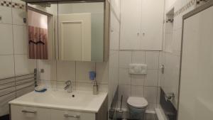 łazienka z umywalką, toaletą i lustrem w obiekcie Appartement " Am Fasangarten " w Wiedniu +10 zdjęć