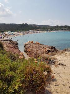 Táj Show holiday homes közelében