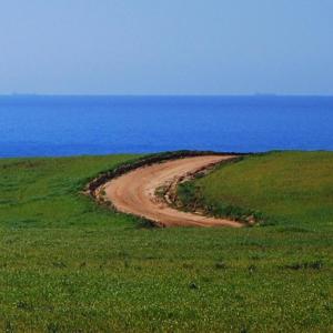 a dirt road in a field next to the ocean at Pure Flor de Esteva in Vila do Bispo