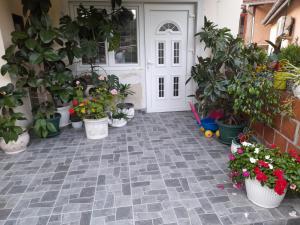 Zahrada ubytování Apartmani Evelin 1 + 3 fotografie