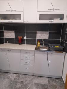 Kuchyň nebo kuchyňský kout v ubytování Apartmani Evelin 1