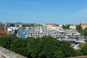 einen Yachthafen mit vielen Booten in einem Hafen in der Unterkunft Apartment Lenka in Zadar