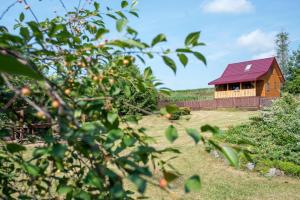 Vonkajšia záhrada v ubytovaní Domek na górce