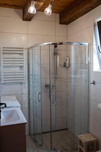 een douche met een glazen deur in de badkamer bij Domek na górce in Sztabin