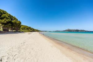 A beach at or near the holiday home