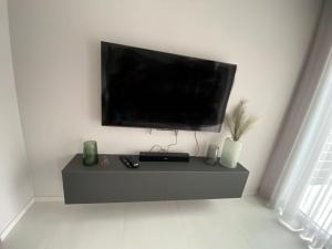 TV a/nebo společenská místnost v ubytování Villa JOKA