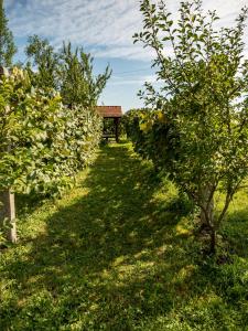 Φωτογραφία από το άλμπουμ του Holiday Home Navis σε Karlovac +24 φωτογραφίες