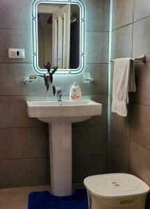 W łazience znajduje się umywalka i lustro. w obiekcie Unique Traditional House, hosted by J&G w Tiranie