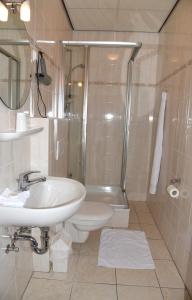 ein Bad mit einer Dusche, einem Waschbecken und einem WC in der Unterkunft Hotel Schuurman in Emlichheim