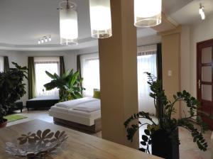 a living room with a couch and potted plants at RP FitLife Stúdió és Vendégház in Szentgál +246 photos