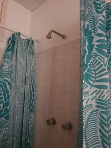 里米尼的住宿－Appartamento Viserba，带淋浴和浴帘的浴室