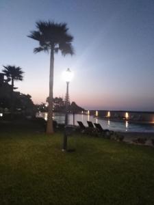 Φυσικό τοπίο κοντά σε αυτό το διαμέρισμα +3 φωτογραφίες
