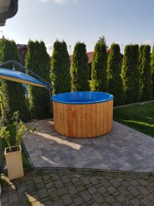 Bazén v ubytování Balaton Rowy nebo v jeho okolí