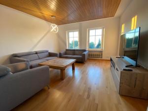 a living room with a couch and a table and a tv at Apartments am Bodensee in Bregenz