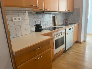 a kitchen with wooden cabinets and a sink and a stove at Apartments am Bodensee in Bregenz