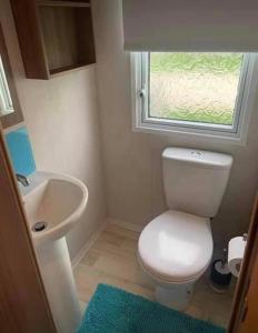 Baño pequeño con aseo y lavamanos en 8 Berth,Waterside Leisure,Ingoldmells, en Ingoldmells