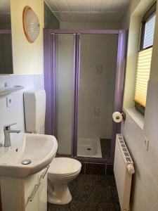 a bathroom with a shower and a toilet and a sink at Ferienhaus an der Fichtelbergbahn in Cranzahl