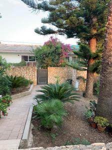 un jardín con una palmera y una pared de piedra en Villa Vella, en Sciacca