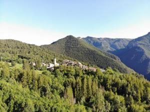 een huis op de top van een berg met bomen bij Appartmento Rustico Montagna Val Maira Castellaro in Macra