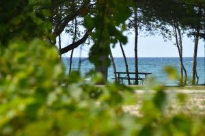 a swing sitting on the beach near the water at Adrians Wasaga Beach in Wasaga Beach