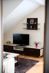 Televízia a/alebo spoločenská miestnosť v ubytovaní Apartman EMA