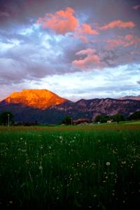 a field of grass with a mountain in the background at Ferienwohnung Wechselberger in Kiefersfelden