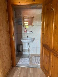 uma casa de banho com um lavatório e um lavatório em Farm Stay Pr Lavric em Slivna