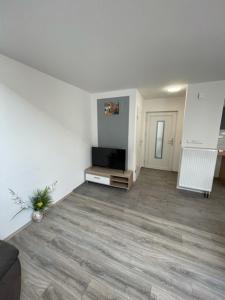 TV a/nebo společenská místnost v ubytování Ferienwohnung Einstein